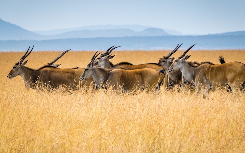 延长石油联合站改造